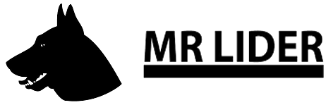 Mr-lider.com